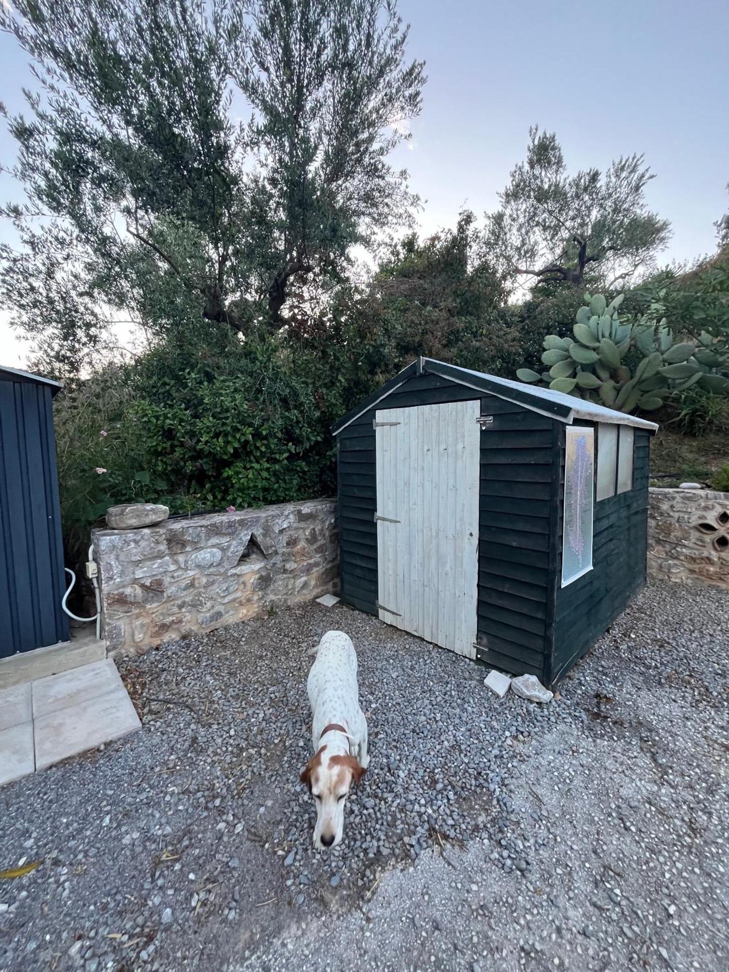 Nefeli Studios Vathí Dış mekan fotoğraf