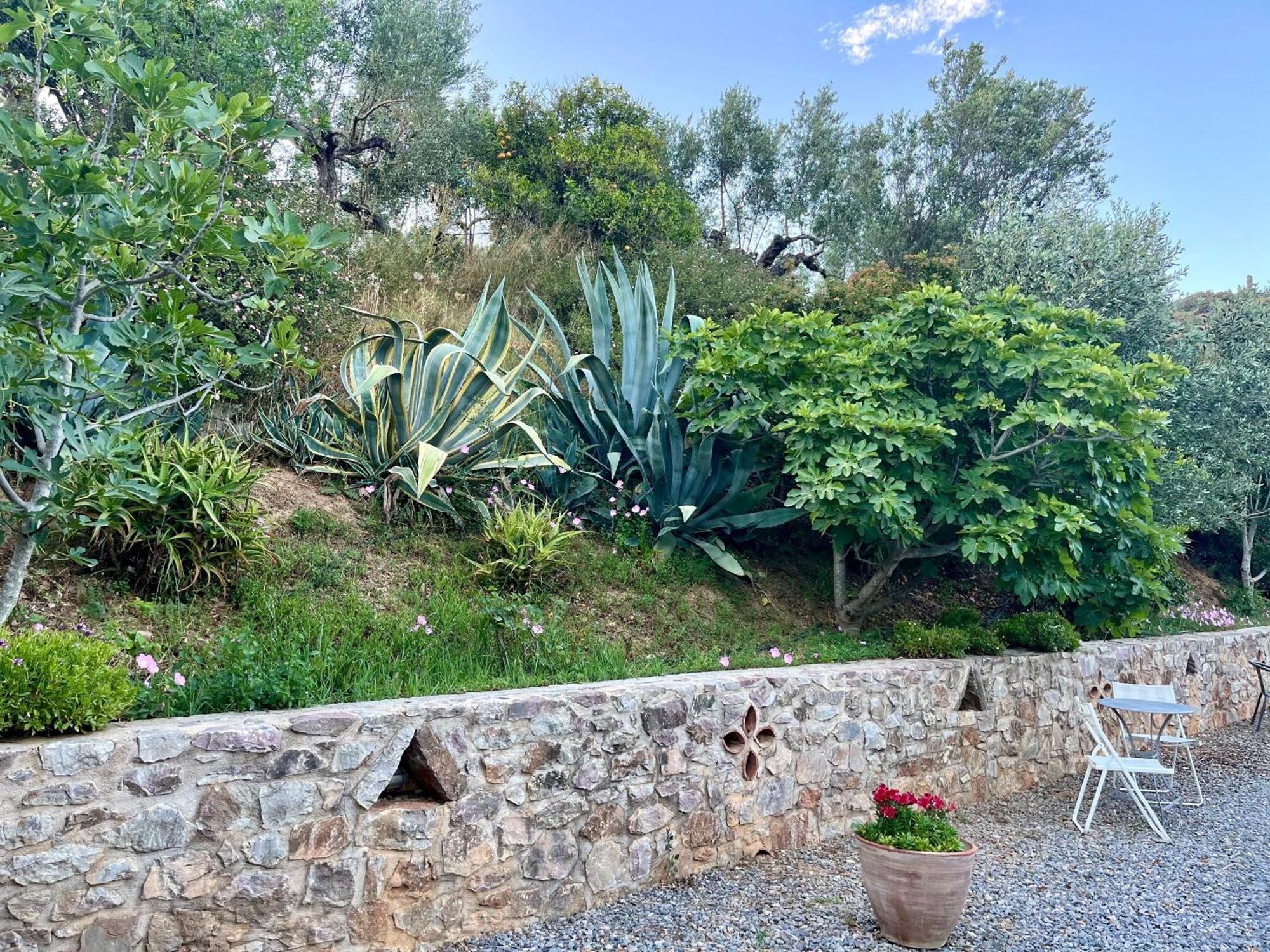 Nefeli Studios Vathí Dış mekan fotoğraf